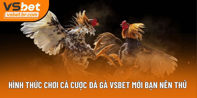 Hình thức chơi cá cược đá gà Vsbet mới bạn nên thử 